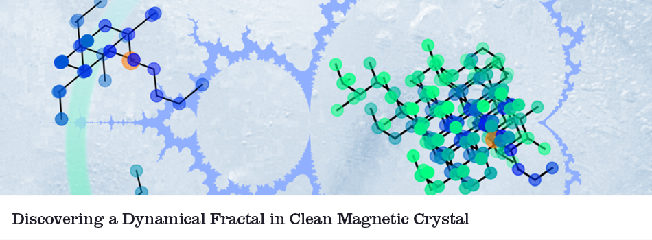 discovering a dynamical fractal in clean magnetic crystal