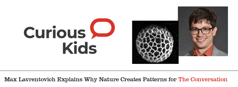 max lavrentovich explains why nature creates patterns for the curious kids series in the conversation